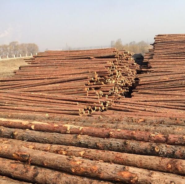 1522480119253698.jpg QQ截圖20180331151912.jpg