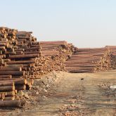 1544651789937558.jpg thumb_1465191581274155.jpg